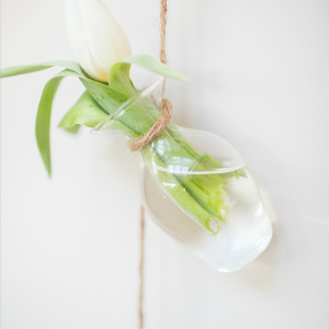 Glass Bottles Hanging Decor
