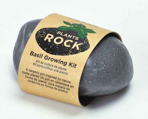 Grow Basil at Home Kit - Plants Rock!