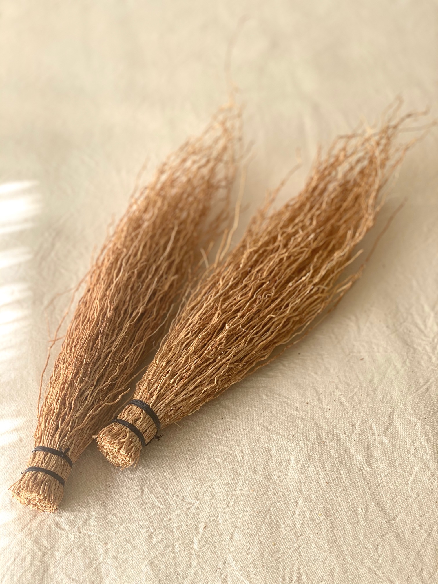 Bouquets of Vetiver Roots