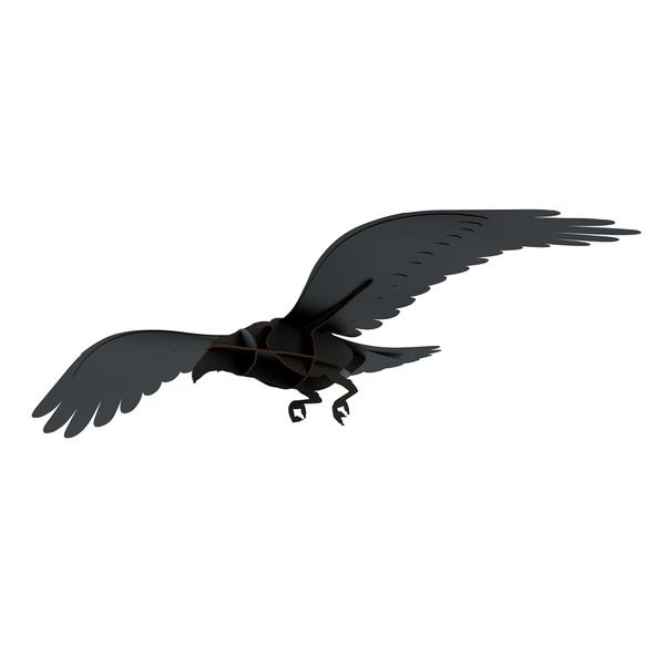 Ravens Adam