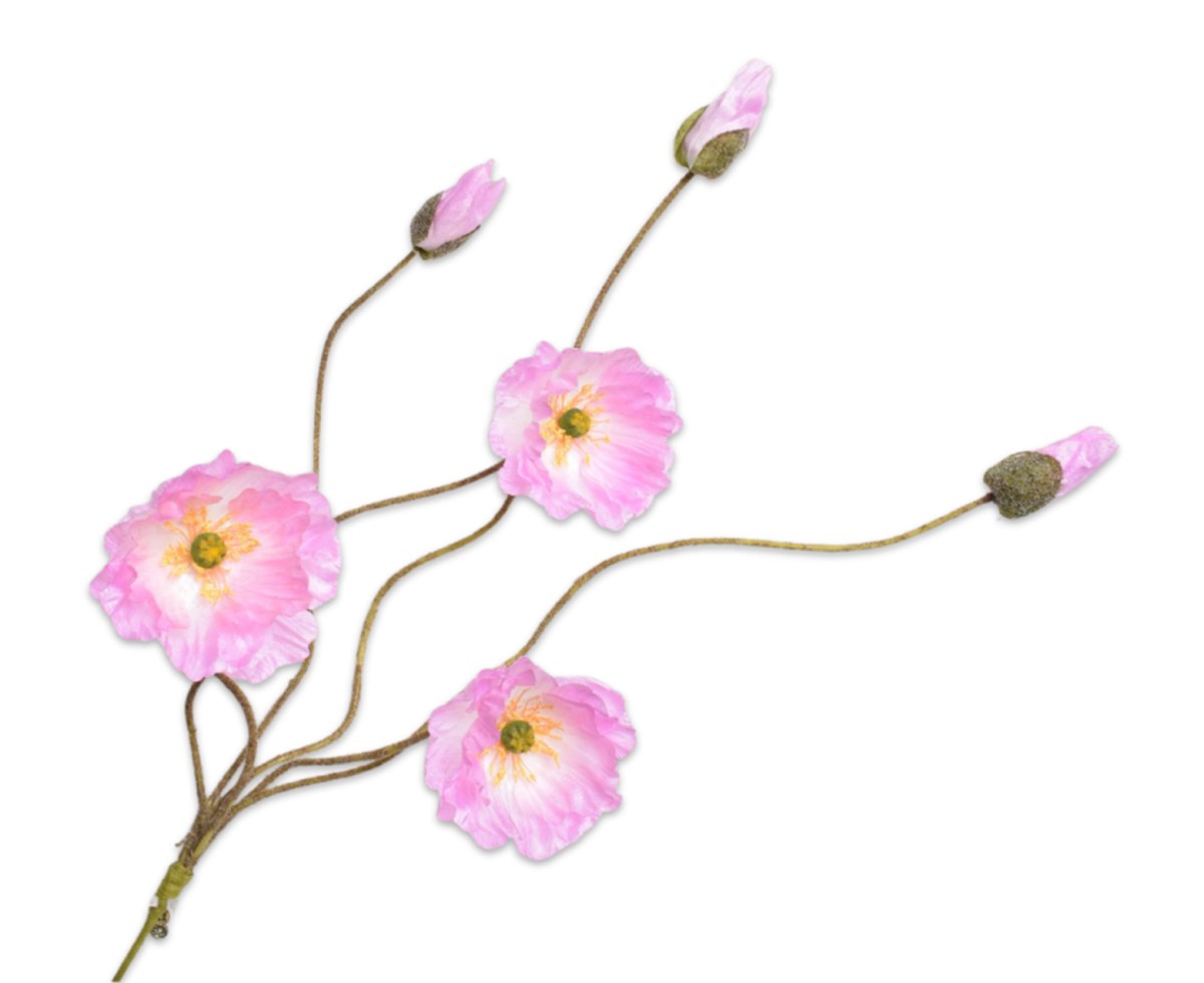 Amapola Rosa 55cm