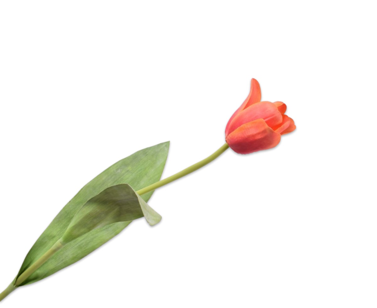 Tulipan Naranja 61cm