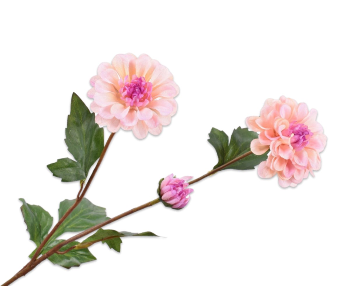 Dahlia Malva 56cm