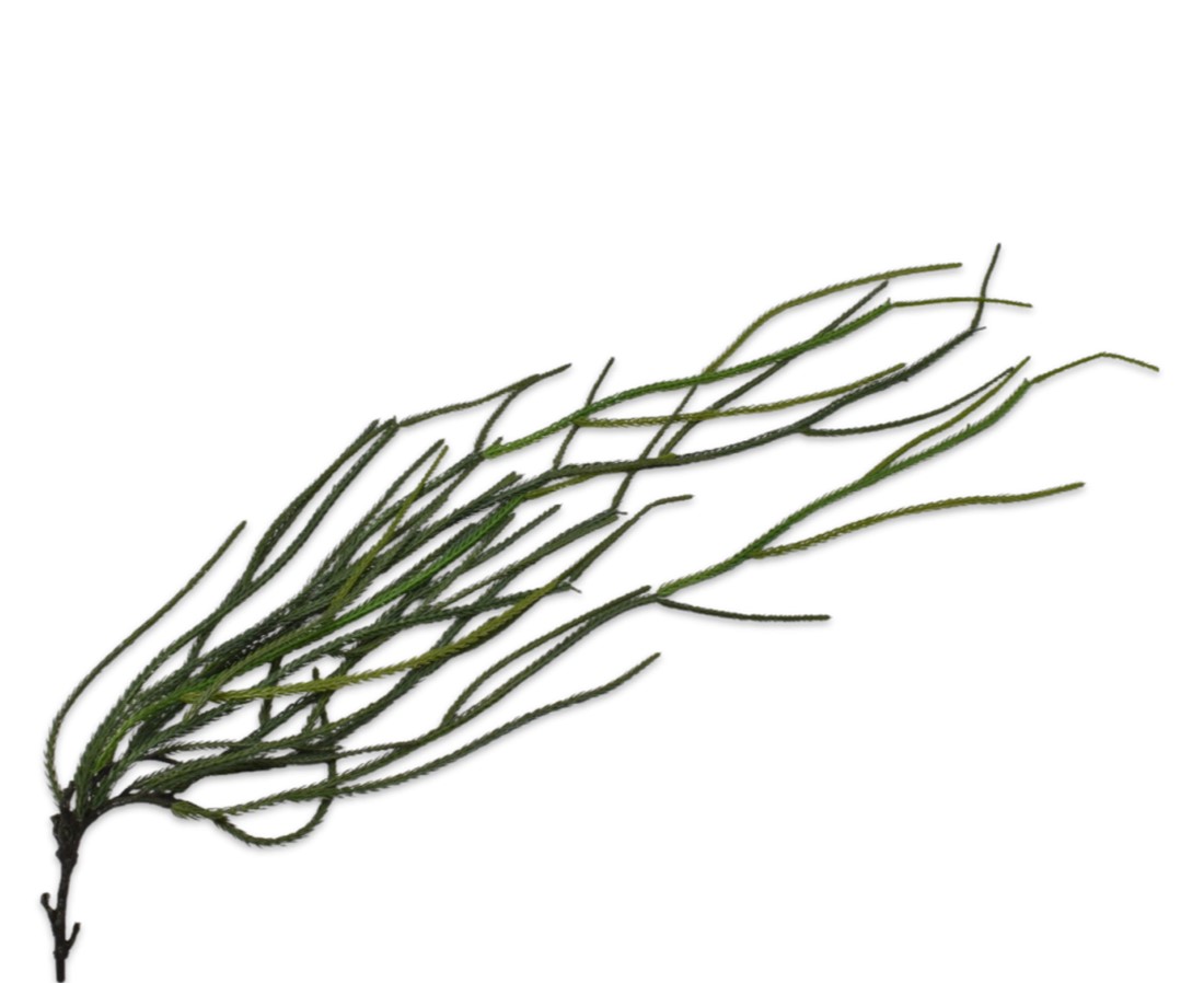 Hierba Verde Oscuro Colgante 97cm