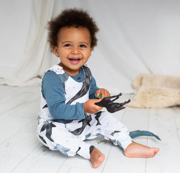 Ilo Romper Babygrow Adjustable Size Organic Cotton Chameleon