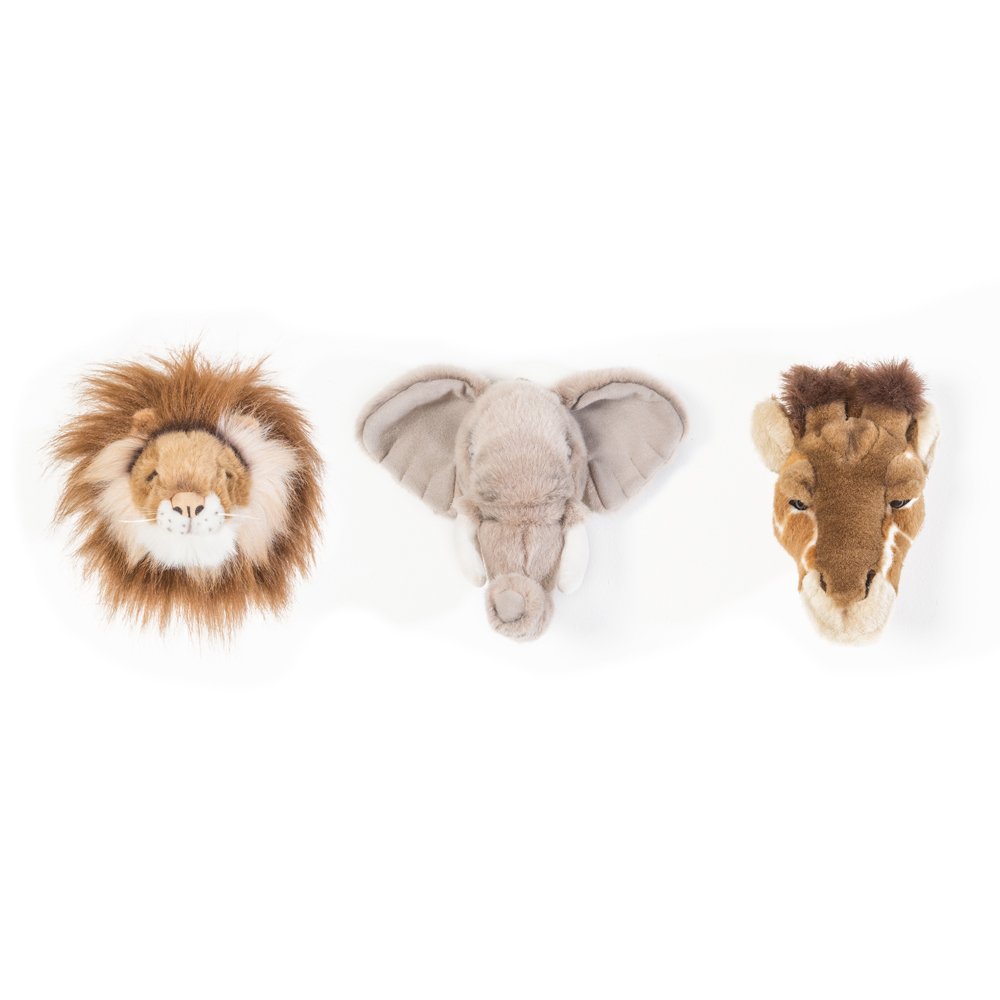 Wild & Soft Set Of 3