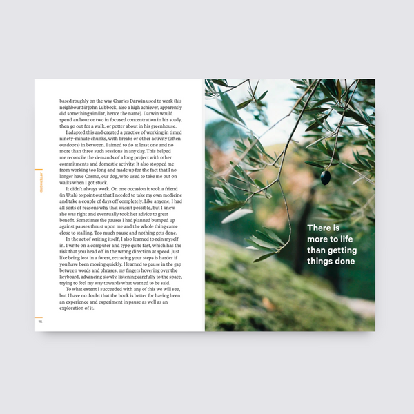 The Do Book Company Do Pause